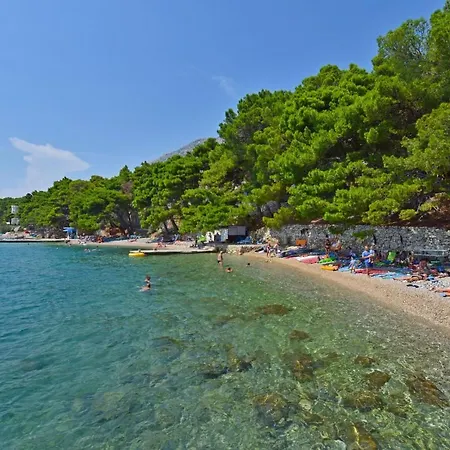 Zdenka * Omis